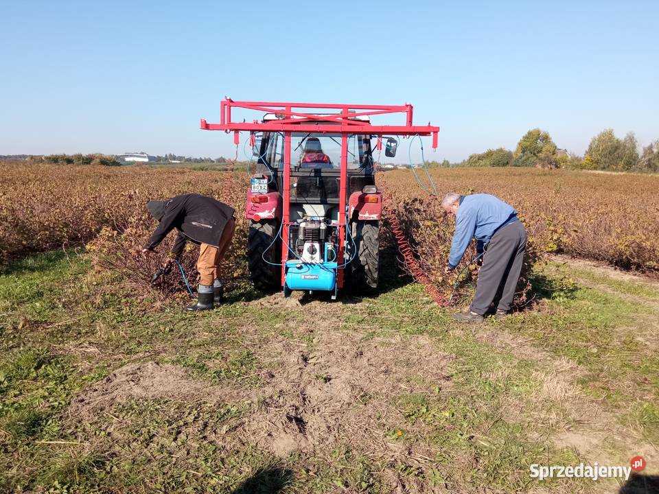 Sprężarka sadownicza sekatory pneumatyczne Gliszcz sprzedam