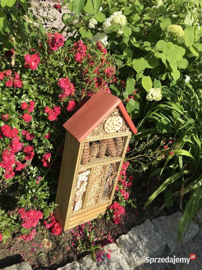 Domek owadów 70 Sławno