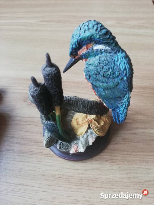 Ptaki Polskie Warszawa sprzedam