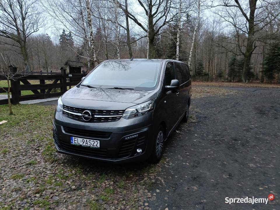 Opel Vivaro manualna łódzkie Brzeziny sprzedam