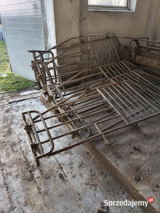 Wygrodzenia macior Radzyń Podlaski