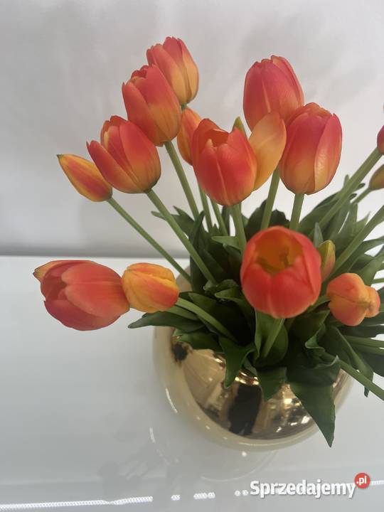 Bukiet tulipanów gumowych 7 sztuk Premium kolor Golkowice sprzedam