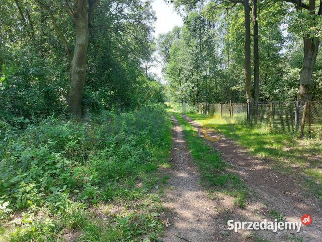 Działka do sprzedania Popielarze 900m2 sprzedam