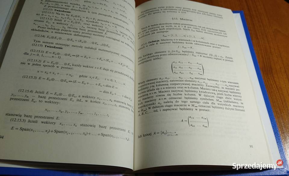 Algebra z geometrią fizyków Lech Górniewicz matematyka, statystyka Gdańsk sprzedam