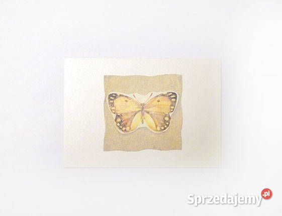 motylek kartka vintage kartki kartka z motylkiem sprzedam