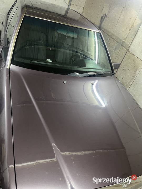 Sprzedam w 124 Golub-Dobrzyń