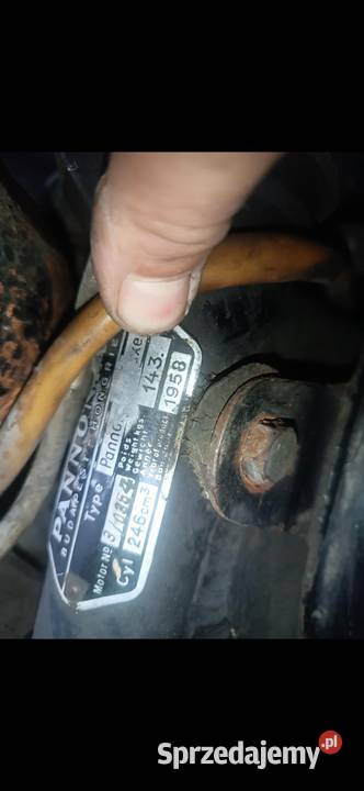 Panonia Pozostałe Jaworzno sprzedam