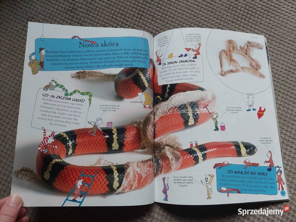 National Geographic Małe Mózgofalki poznają Książki dla dzieci Kultura i Rozrywka Kraków