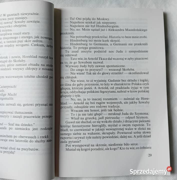 Maria Rodziewiczówna Florian z Wielkiej Hłuszy Koźminek
