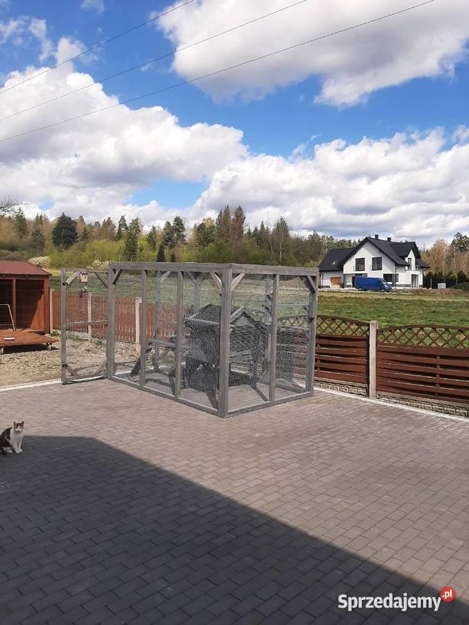 Buda kotów z wolierą Jordanów