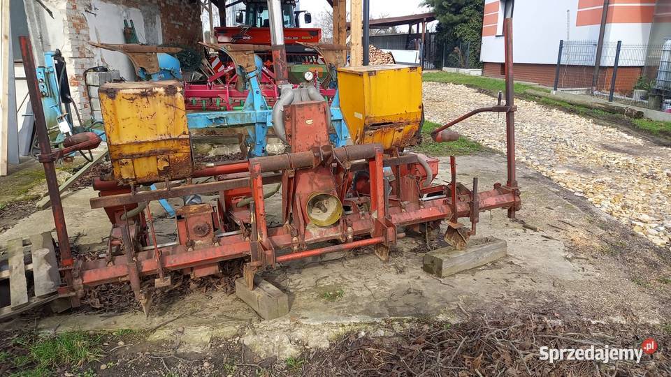 Siewnik do kukurydzy 4 rzedowy Gołkowice