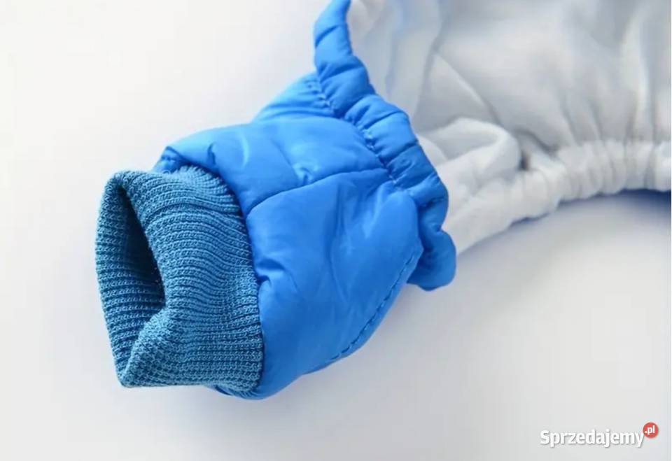 Wiosennojesienna niebieska kurtka małego pieska