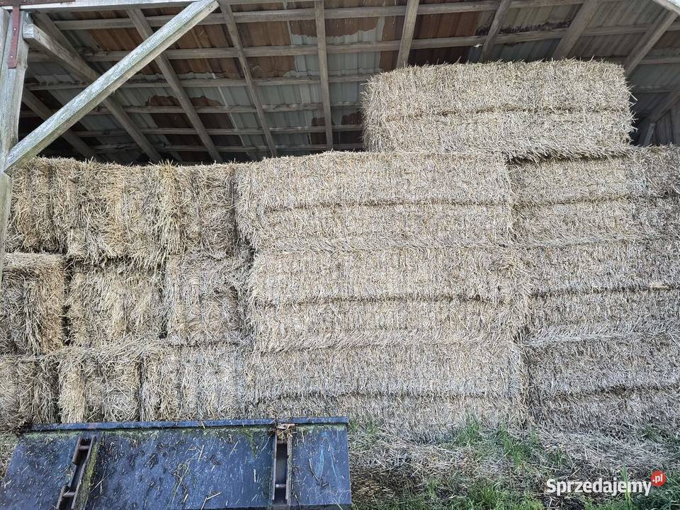 Sprzedam słome wielkopolskie Kurów