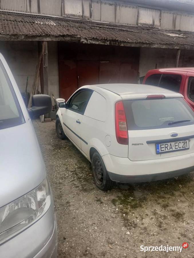 Ford Fiesta Fiesta Maluszyn