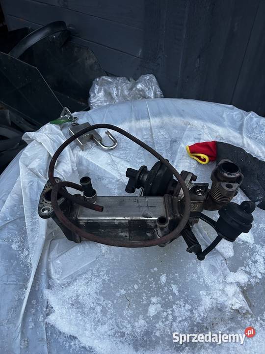 EGR BMW N47D20A używany sprawny Nieborów