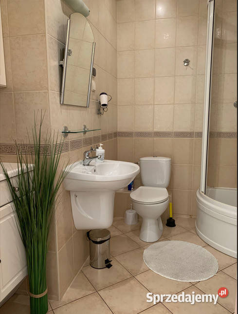 Duża kawalerka na wynajem Wynajem Szczecin