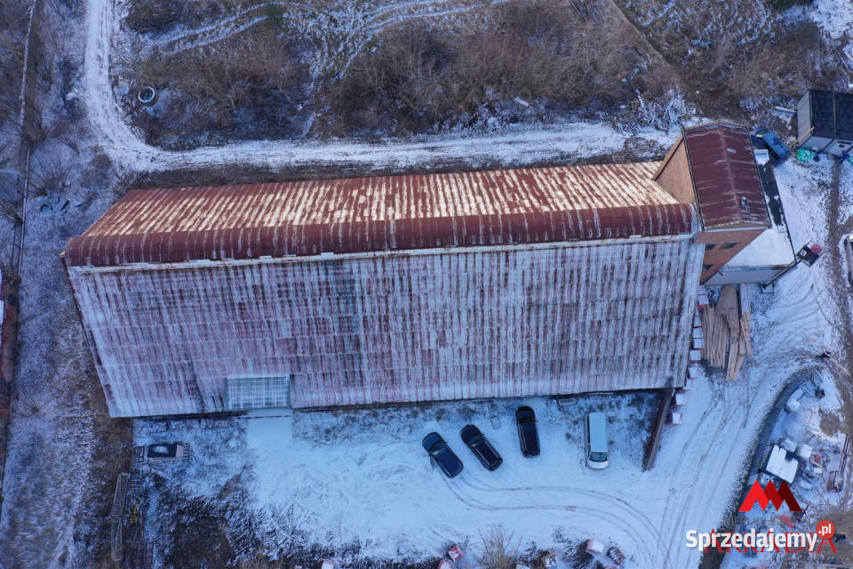 Lokal 1173m2 ChełmicaCukrownia Chełmica-Cukrownia