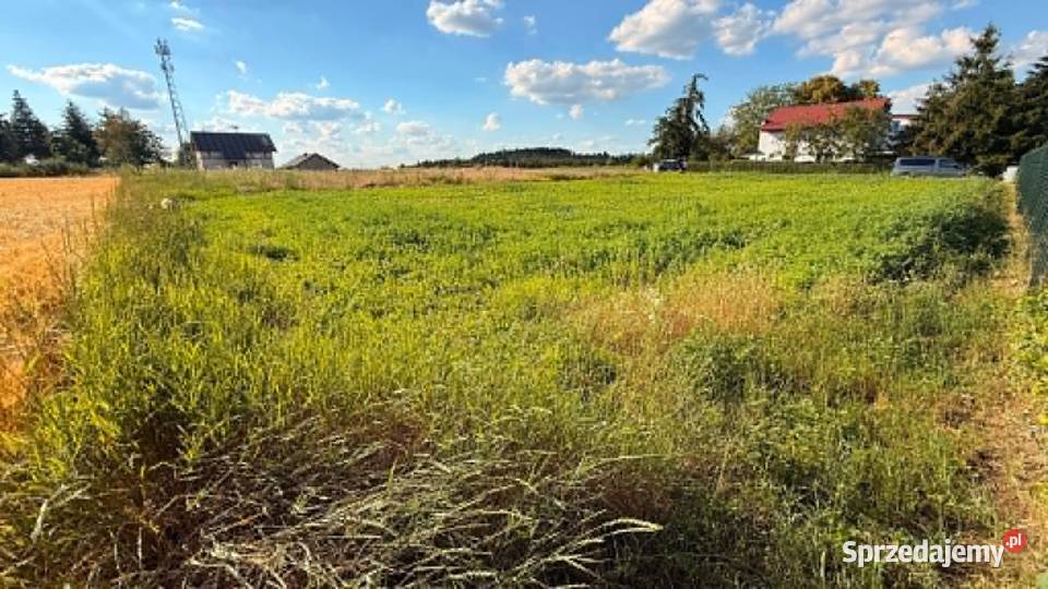 GOTOWA INWESTYCJA JEZIOREM POWIDZKIM wielkopolskie Powidz sprzedam