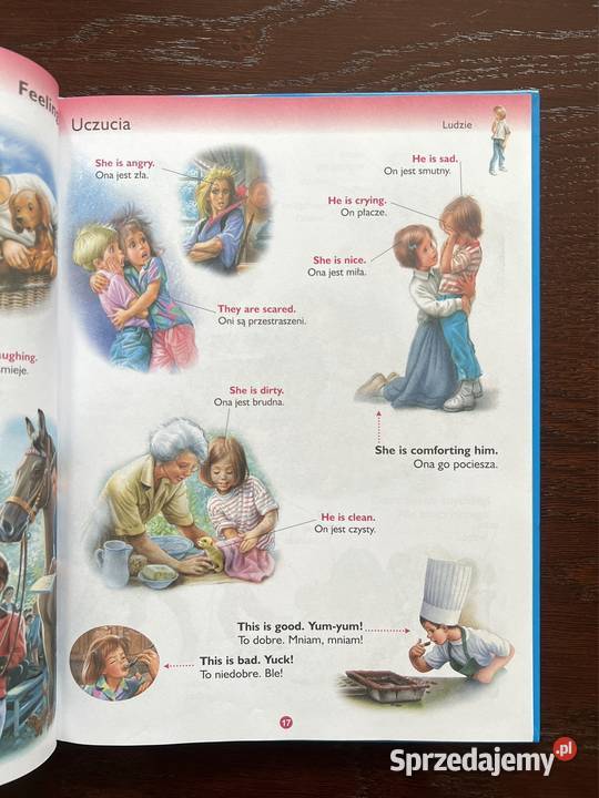 Martynka słownik angielskopolski twarda Częstochowa