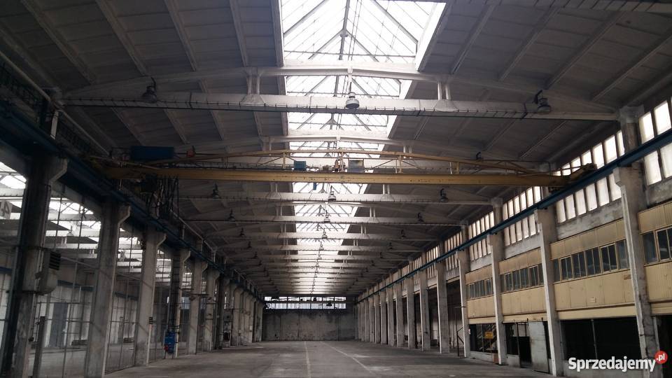 suwnica jednobelkowa elektryczna Poznań