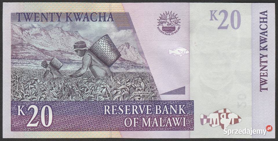 Malawi 20 kwacha 2007 stan bankowy UNC Łódź sprzedam