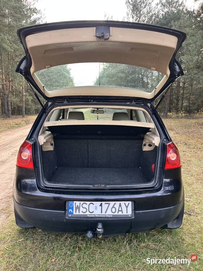 Volkswagen Golf V 19 TDI Blue Motion 2005 nieuszkodzony Sochaczew