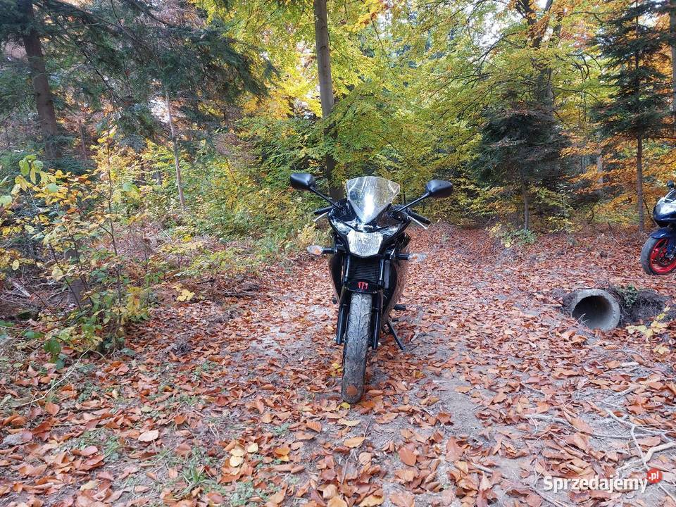 Honda cbr 125r jc50 Motocykle, skutery, quady Waśniów sprzedam