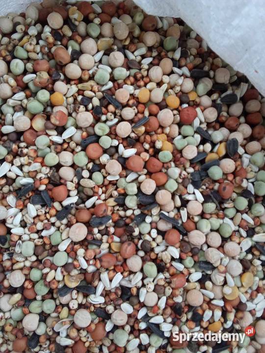 Karma BK bez kukurydzy i pszenicy wysyłka Janów Lubelski