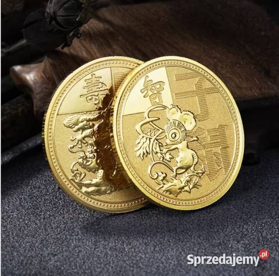Kolekcjonerski nietypowy zestaw numizmatów mazowieckie Warszawa