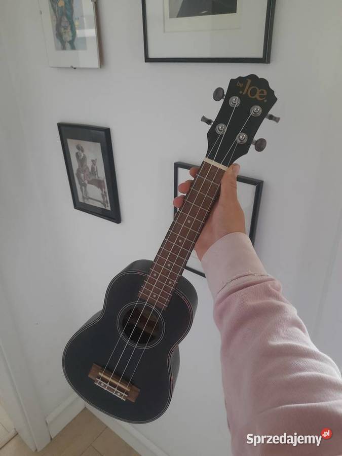 Ukulele z akcesoriami Sport i Wypoczynek zachodniopomorskie Szczecin