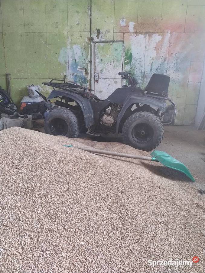 Quad 250 Gostycyn sprzedam