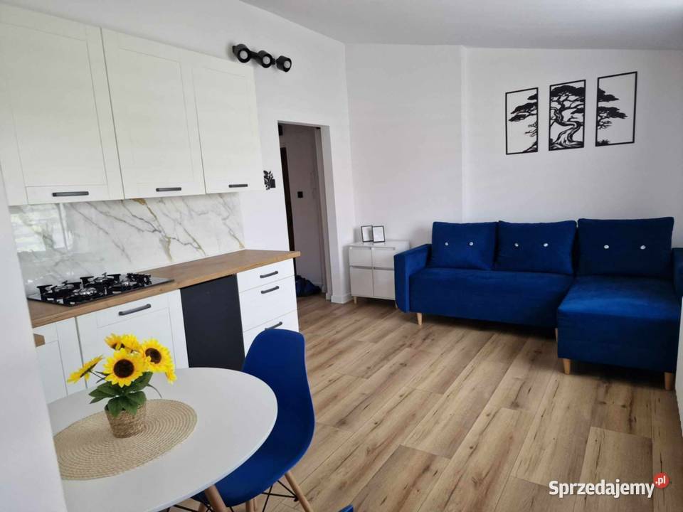 Do wynajęcia mieszkanie w centrum Kutna Kutno sprzedam