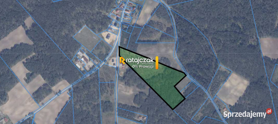 Grunt 42000m2 Przewóz