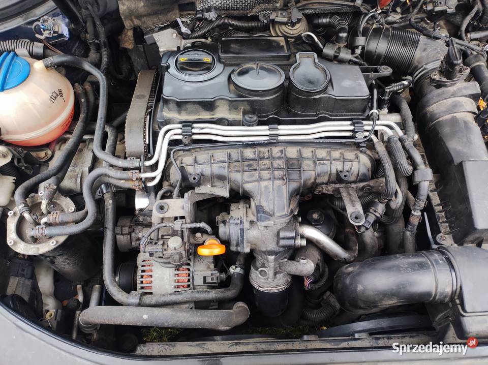 Passat B6 silnik BMR Horodło