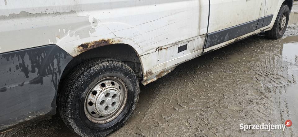 Fiat Ducato Rok produkcji 2006 Dąbrowa Górnicza