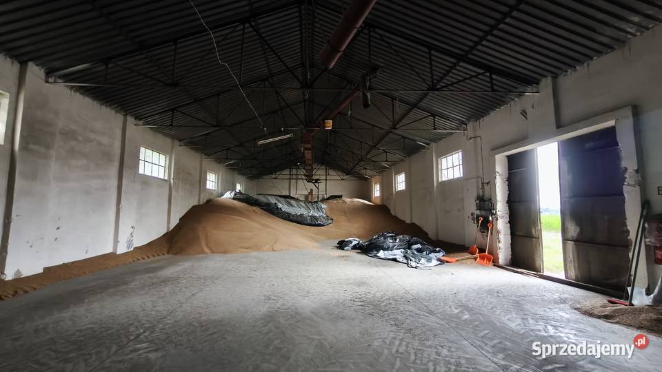 Magazyn grunt 23 ar idealny pod biznes Wynajem Wilków sprzedam