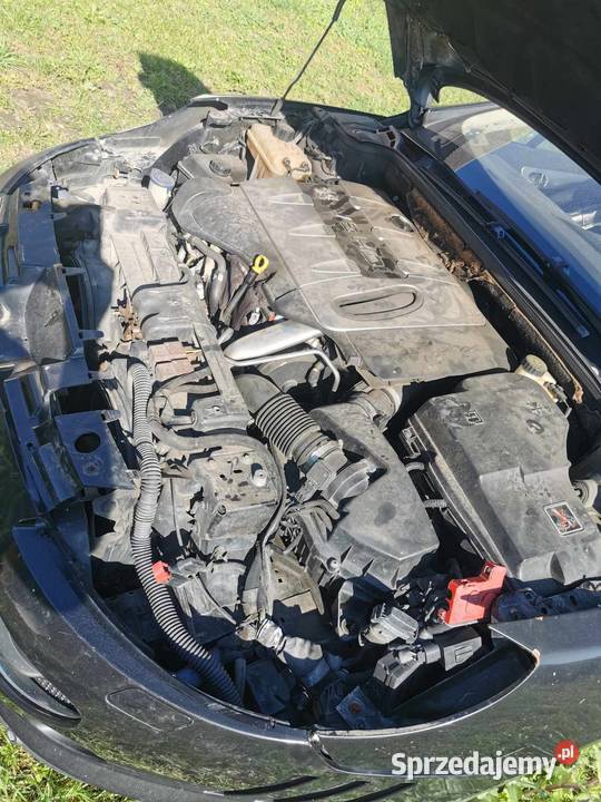 peugeot 407 coupe klapa bagażnika Mórkowo