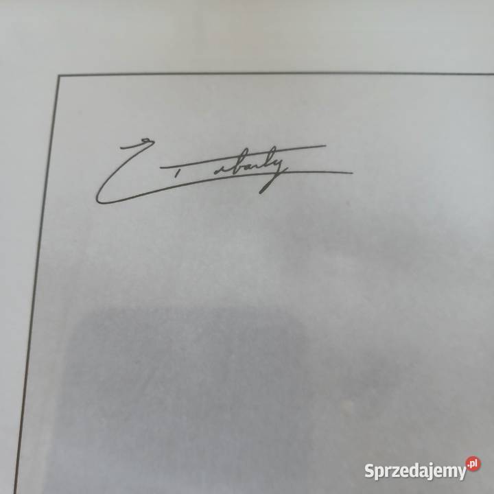 Grafika regaty czarnobiałe zdjęcie regatowe Warszawa