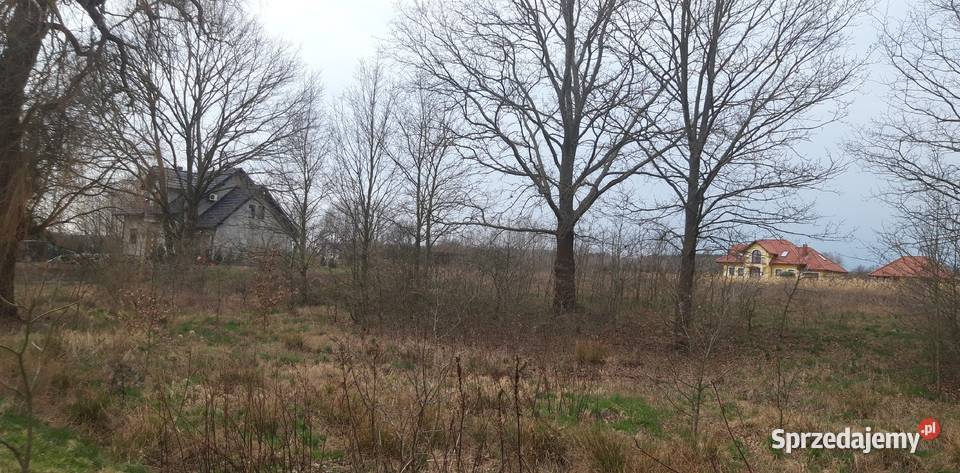 Twoje miejsce na dom wśród zieleni Koźla 2400 m sprzedam