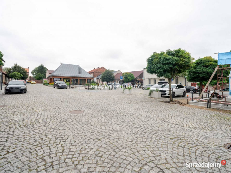 Lokal Nowe Brzesko 260m2