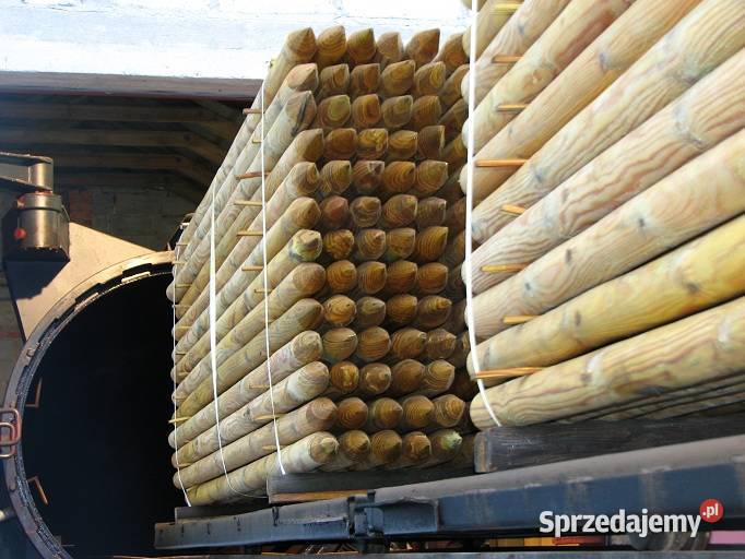 Paliki do drzewek siatki leśnej ogrodzenie Obrzeża i palisady Gniezno