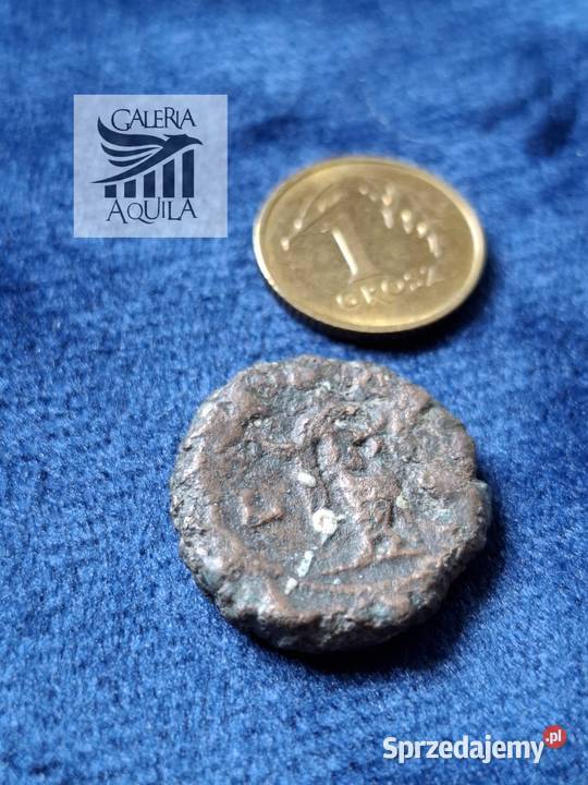Tetradrachma Maksymian Aleksandria Wejherowo sprzedam