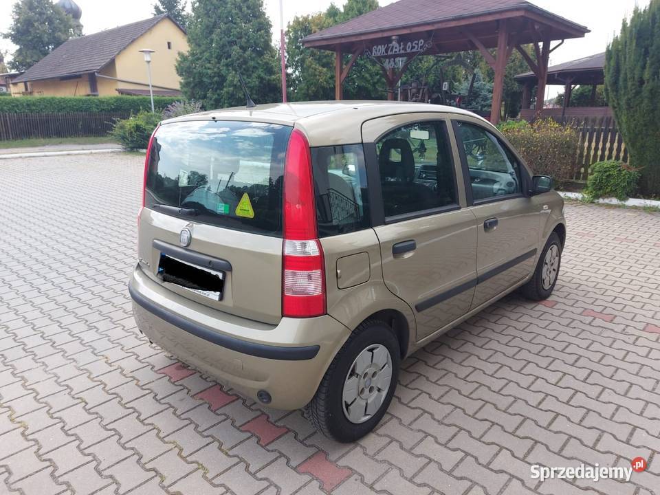 Panda Panda Pszczyna