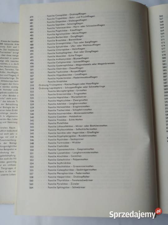 URANIA TIERREICH Insekten podlaskie Hajnówka