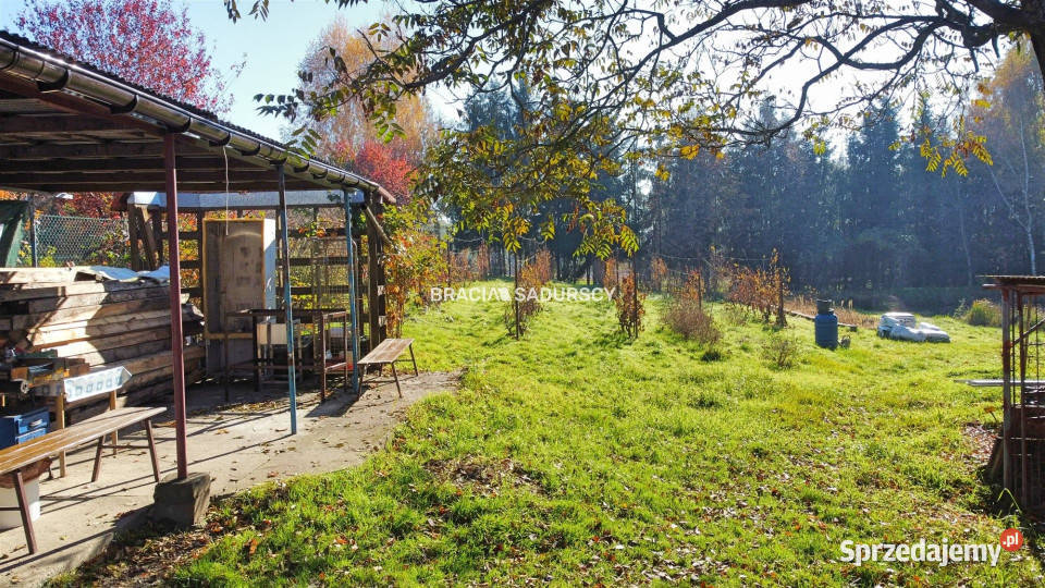 Sprzedam grunt Maciejowice 11100 metrów