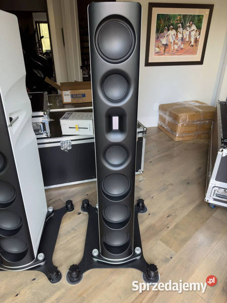 Borresen Z5 Louspeakers w Townshend Isolation łódzkie Rawa Mazowiecka sprzedam
