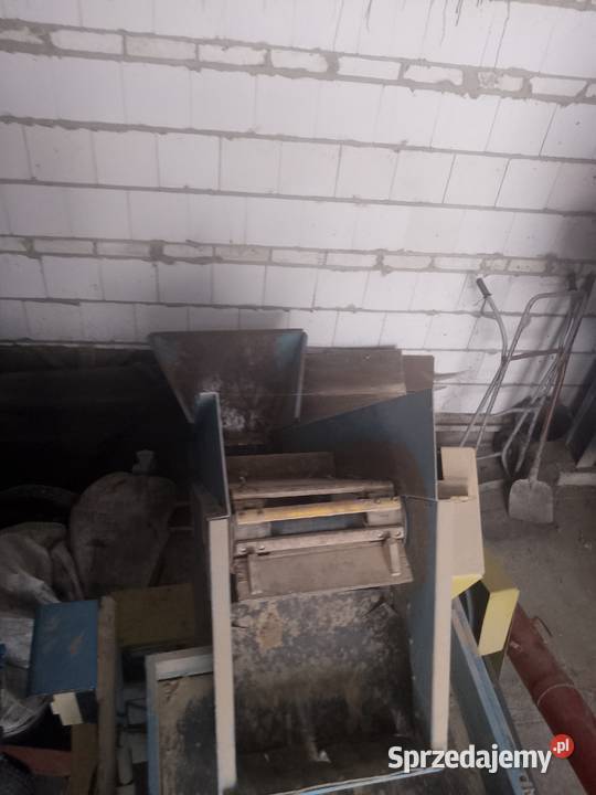 Sortownik do ziemniaków mazowieckie Łosice