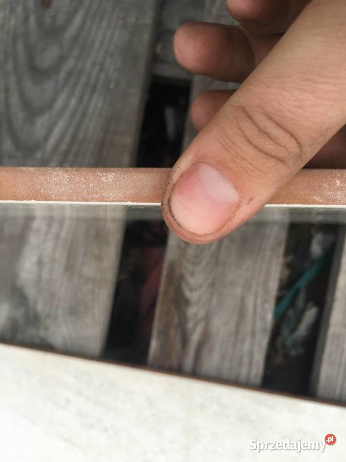 Glazura płytka ścienna estilo beige 25x70 firmy mazowieckie Reguły