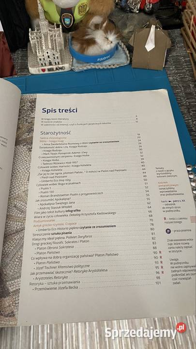 Książkę Język Polski Do technikum liceum śląskie Tychy