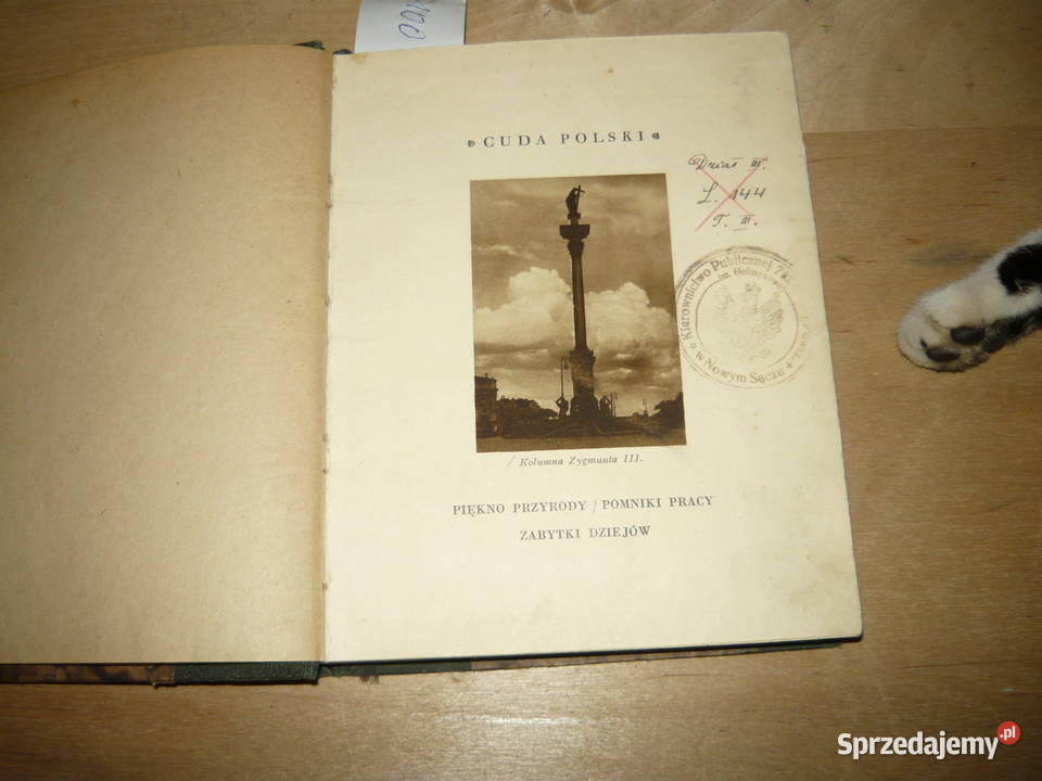 Cuda Polski Warszawa Aleksander Janowski 1929 Nowy Sącz